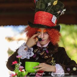 La Pócima de Alicia está en Astorga 04