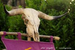 Astorga Astures y Romanos 01