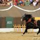 Imagen 4 de la galería de Astorga Astures y Romanos 07