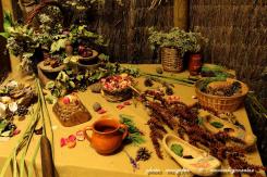 Astorga Astures y Romanos 10