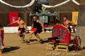 Imagen 18 de la galería de Astorga Astures y Romanos 11