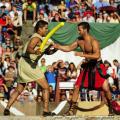 Imagen 11 de la galería de Astorga Astures y Romanos 11