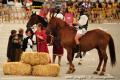 Imagen 12 de la galería de Astorga Astures y Romanos 11