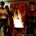 Imagen 8 de la galería de Astorga Astures y Romanos 14
