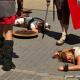 Imagen 5 de la galería de Astorga Astures y Romanos 14