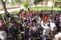 Imagen 9 de la galería de La Pócima de Alicia está en Astorga 09