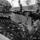 Imagen 8 de la galería de Astorga Carentan 03