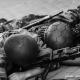 Imagen 6 de la galería de Astorga Carentan 05
