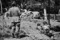 Imagen 17 de la galería de Astorga Carentan 09