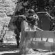 Imagen 7 de la galería de Astorga Carentan 10