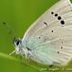 Imagen 1 de la galería de Macro Fauna 01