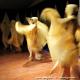 Imagen 8 de la galería de Clase de Danza 01