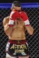 Imagen 7 de la galería de MMA     Artes Marciales Mixtas I