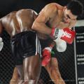Imagen 1 de la galería de MMA     Artes Marciales Mixtas I