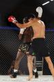 Imagen 16 de la galería de MMA     Artes Marciales Mixtas I