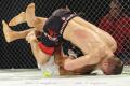 Imagen 10 de la galería de MMA     Artes Marciales Mixtas I