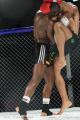 Imagen 2 de la galería de MMA     Artes Marciales Mixtas I