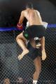 Imagen 13 de la galería de MMA     Artes Marciales Mixtas I