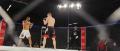 Imagen 14 de la galería de MMA     Artes Marciales Mixtas I