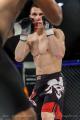 Imagen 12 de la galería de MMA     Artes Marciales Mixtas I