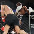 Imagen 18 de la galería de MMA     Artes Marciales Mixtas I