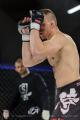 Imagen 5 de la galería de MMA     Artes Marciales Mixtas I