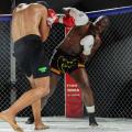 Imagen 6 de la galería de MMA     Artes Marciales Mixtas I