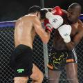 Imagen 15 de la galería de MMA     Artes Marciales Mixtas I