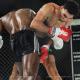 Imagen 1 de la galería de MMA     Artes Marciales Mixtas I