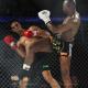 Imagen 4 de la galería de MMA     Artes Marciales Mixtas I