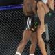 Imagen 2 de la galería de MMA     Artes Marciales Mixtas I