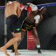 Imagen 6 de la galería de MMA     Artes Marciales Mixtas I