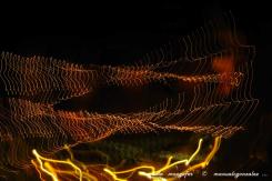 Luz en Movimiento 01